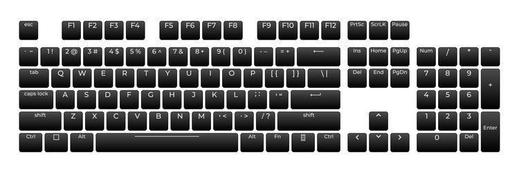 computer keyboard button layout template vector image