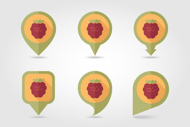 raspberry mapping pins icons vector image