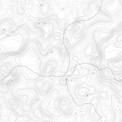 seamless pattern topographic map background vector image