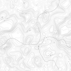 Seamless pattern topographic map background vector