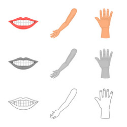isolated object of body and part sign collection vector image