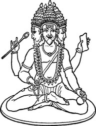 Vintage Brahma Line Art Vector Image