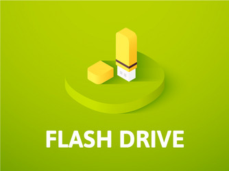 Flash drive isometric icon isolated on color vector