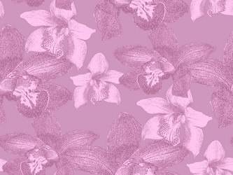 Orchids seamless pattern in pink colors vector