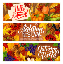 Autumn Harvest Celebration Banners Vector Image