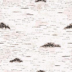 Birch bark seamless pattern Royalty Free Vector Image