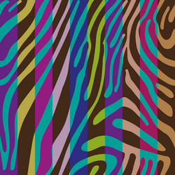 background with colorful zebra skin pattern vector image