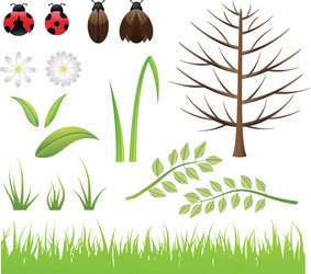 Border template design with insects in garden Vector Image