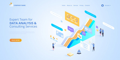 Expert team for data analysis consulting vector