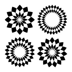 Geometric Circle Patterns vector image