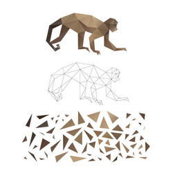 polygonal puzzle game constructor from triangles vector image