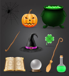 Magic objects for witchcraft witch vector