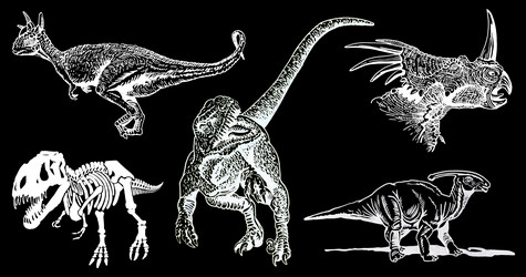 Graphical set of dinosaurs isolated on black vector