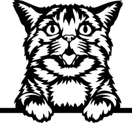 Peeking Cat Chatting Icon 18792793 Vector Art at Vecteezy