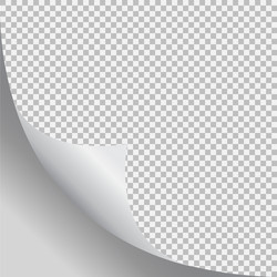 Page curl with shadow on blank sheet of paper vector