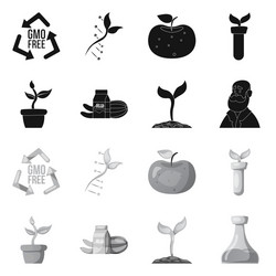 isolated object of and icon set ve vector image