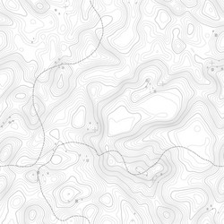 seamless pattern topographic map background vector