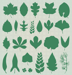 Leaf silhouette collection vector