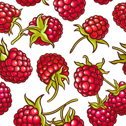 Raspberry Berry Pattern - Seamless vector image