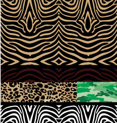 Zebra Pattern vector image