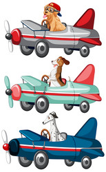 set of different dog driving plane on white vector