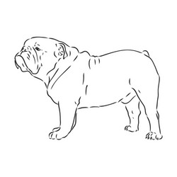 Line art french bulldog with three difference vector