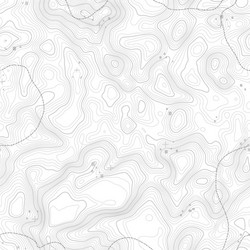 seamless pattern topographic map background vector