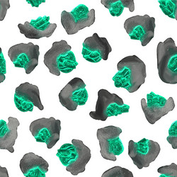leopard print pattern vector image