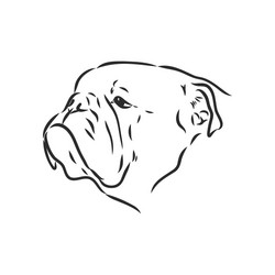 line art french bulldog with three difference Vector Image