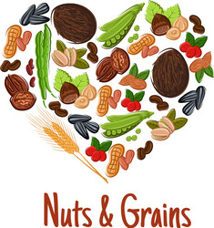 Nut grain seed and bean heart poster design vector