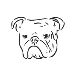 line art french bulldog with three difference Vector Image
