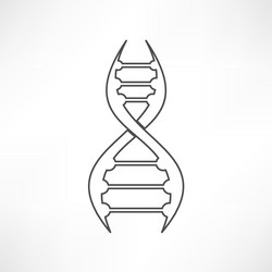 dna icon vector