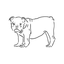 line art french bulldog with three difference Vector Image