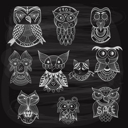 10 chalk drawn owls vector