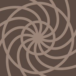 round shapes swirl design template shell pattern vector image