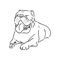 line art french bulldog with three difference Vector Image