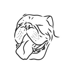 Line art french bulldog with three difference vector