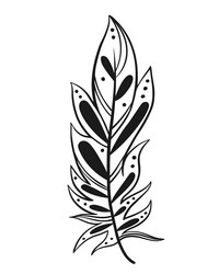 bird feather decorated with patterns and elements vector image