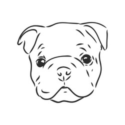 line art french bulldog with three difference Vector Image