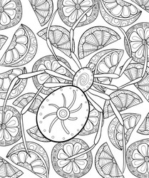 Spider Adult Coloring Book Vector Images (83)
