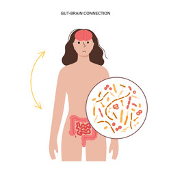 Gut-Brain Axis Connection vector image