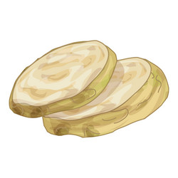two slices of celery root lying on top each vector image
