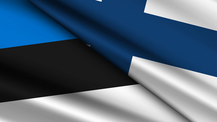 high quality background with two flags of finland vector image