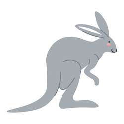 australian fauna kangaroo mammal animal portrait vector