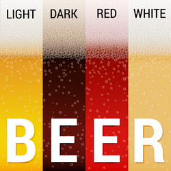Realistic Beer Patterns with Foam vector image