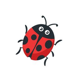 cartoon ladybug funny insect character with cute vector