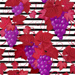 Seamless pattern with grape on strips summer vector