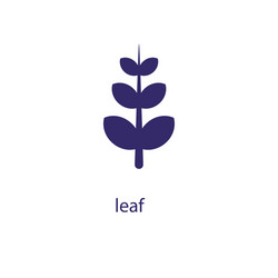 Leaf element in flat simple style on white vector