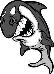 Killer Whale Portrait Vector Image