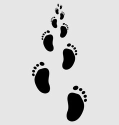 Baby Footprints Vector Image